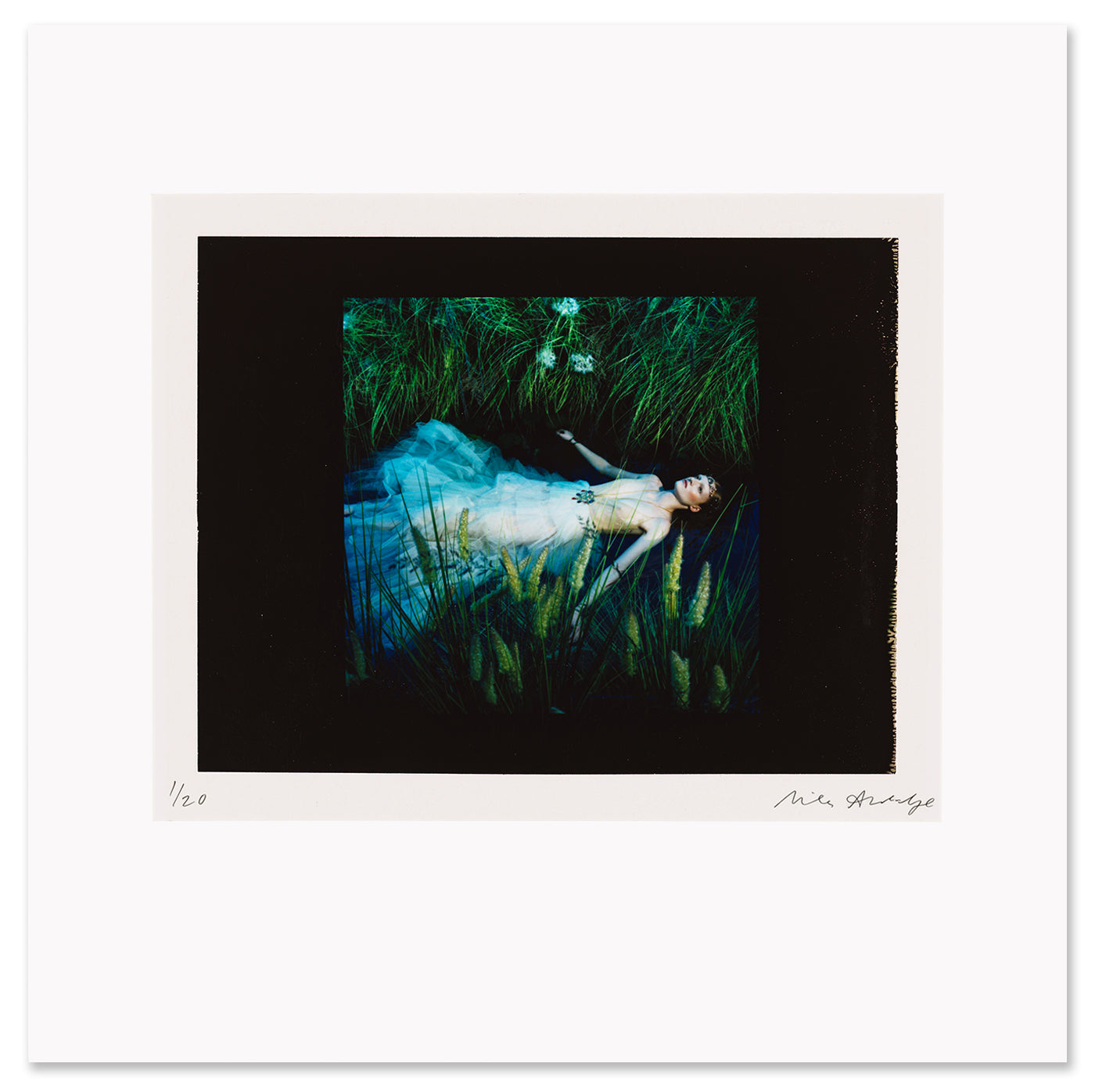 Please Please return Polaroid: Special Edition (Signed)