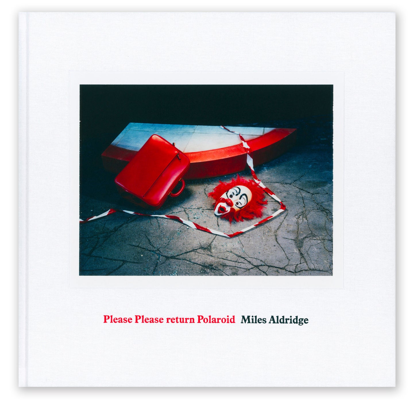 Please Please return Polaroid: Special Edition (Signed)