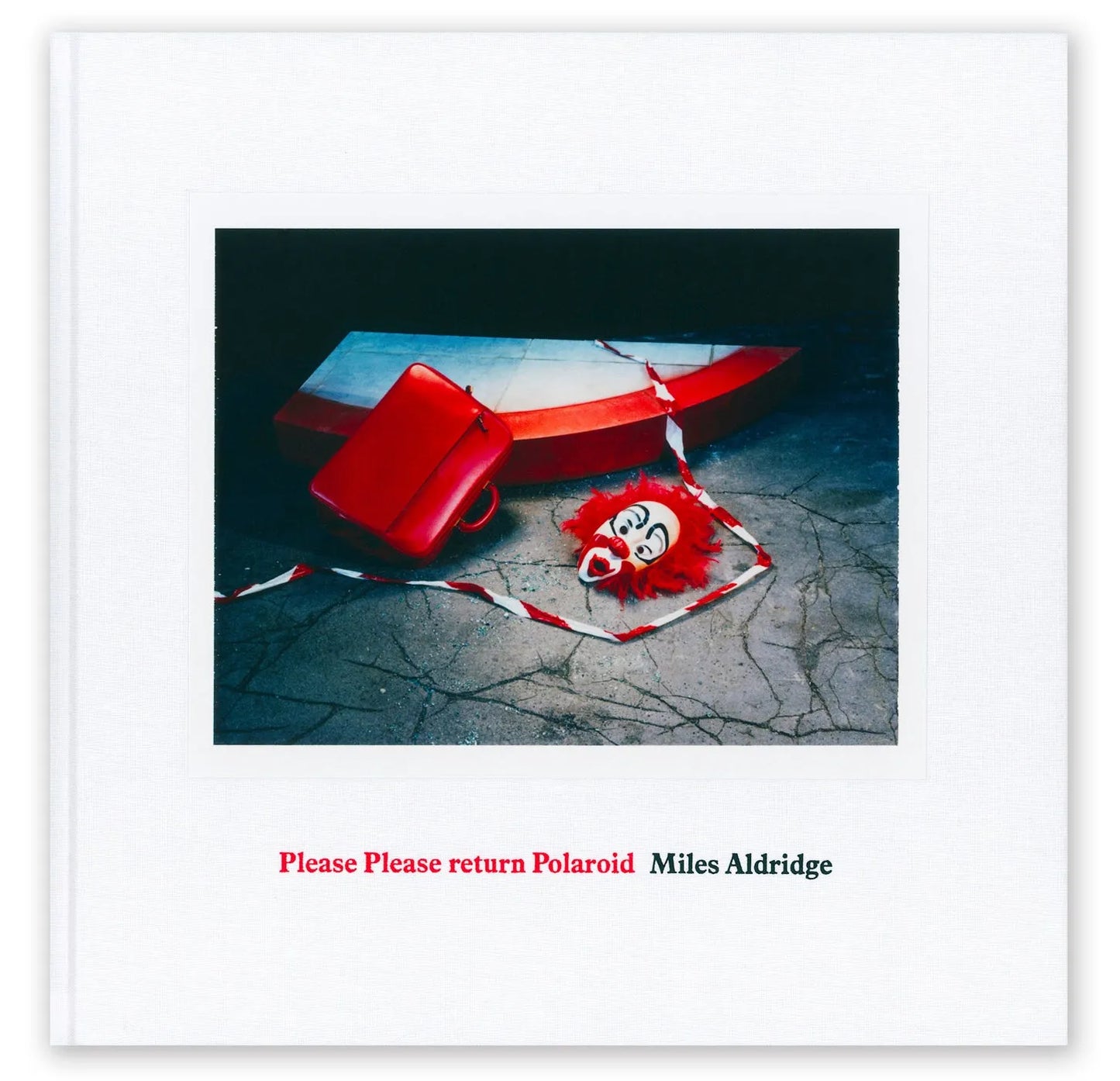 Please Please return Polaroid: Special Edition (Signed)